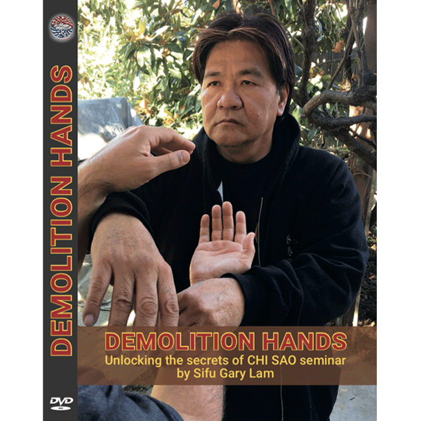 Demolition Hands – Gary Lam